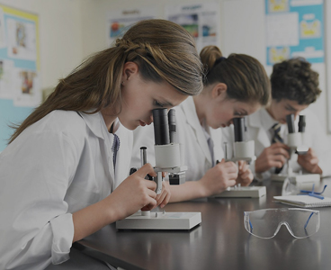 Pellentesque odio nisi, euismod in, pharetra a, ultricies in, diam.