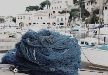 Pellentesque odio nisi, euismod in, pharetra a, ultricies in, diam.