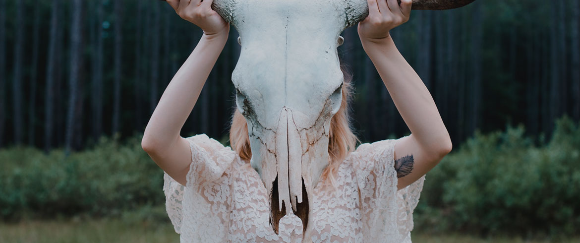 Mauris eget neque molestie, placerat arcu ut, venenatis tortor.