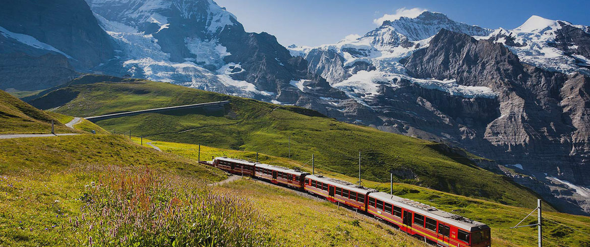 Mauris eget neque molestie, placerat arcu ut, venenatis tortor.