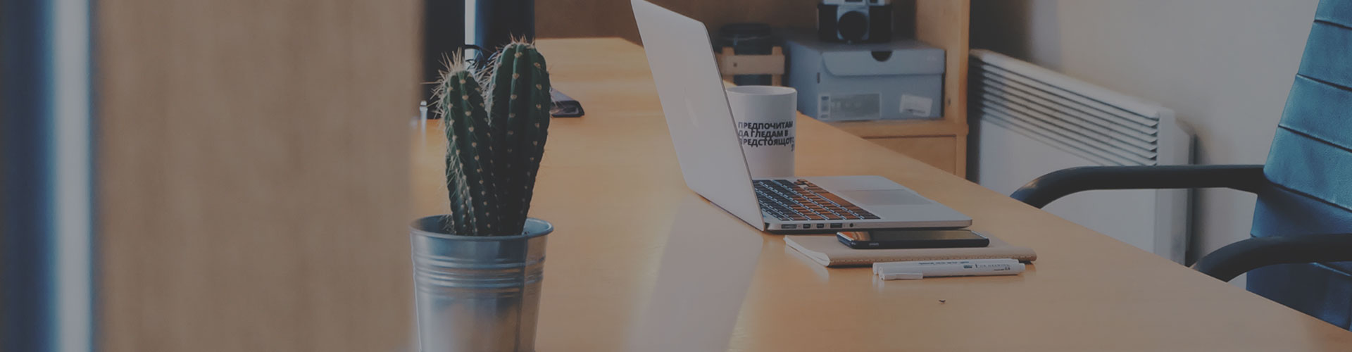 Praesent dapibus, neque id cursus faucibus, tortor neque egestas augue, eu vulputate magna eros eu erat