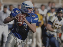 Pellentesque odio nisi, euismod in, pharetra a, ultricies in, diam.