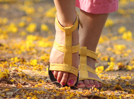 Lorem ipsum dolor sit consectetuer adipiscing elit. Donec odio.