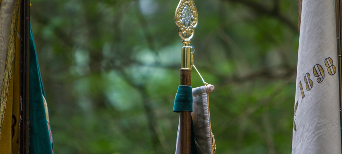 Nam dui mi, tincidunt quis, accumsan porttitor, facilisis luctus, metus.