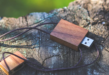 Aliquam erat volutpat.