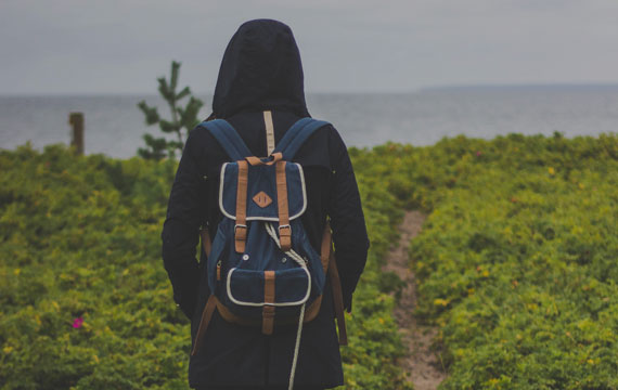 Pellentesque odio nisi, euismod in, pharetra a, ultricies in, diam.