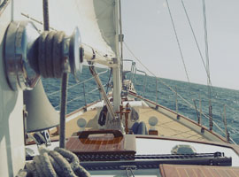 Pellentesque odio nisi, euismod in, pharetra a, ultricies in, diam.